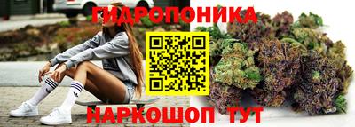 гидра Комсомольск-на-Амуре