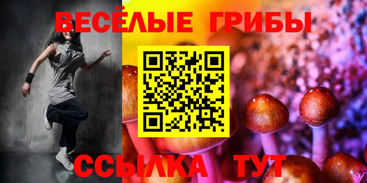 Псилоцибиновые грибы MAGIC MUSHROOMS Энгельс