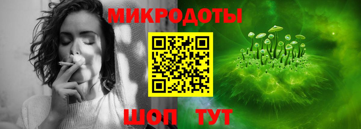 Энгельс  Псилоцибиновые грибы прущие грибы  Вход с VPN 